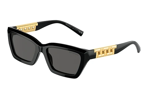 Sunglasses Tiffany TF4213 8001S4