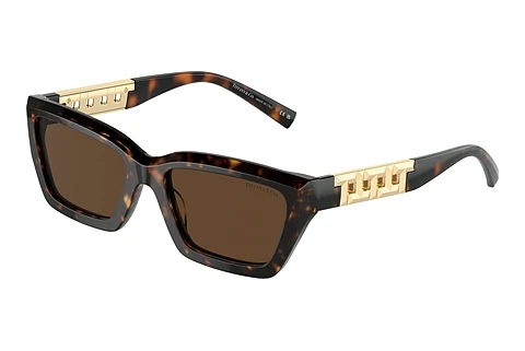 Sunglasses Tiffany TF4213 80153G