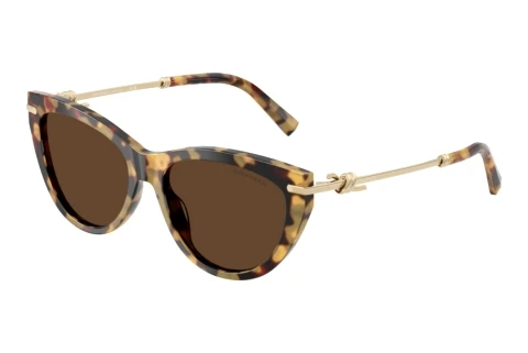 Sunglasses Tiffany TF4253 80643G