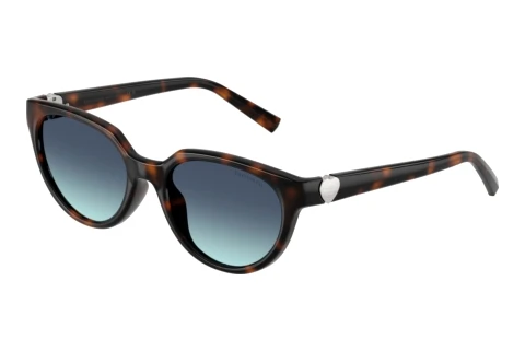 Sunglasses Tiffany TF4256D 80159S