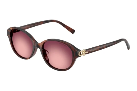 Sunglasses Tiffany TF4263D 84218H