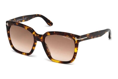 Sunglasses Tom Ford Amarra (FT0502 52F)