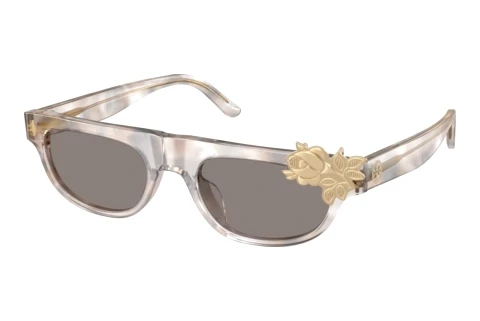 Sunglasses Tory Burch TY7244U 208487