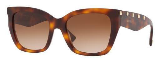 Sunglasses Valentino VA4048 501113