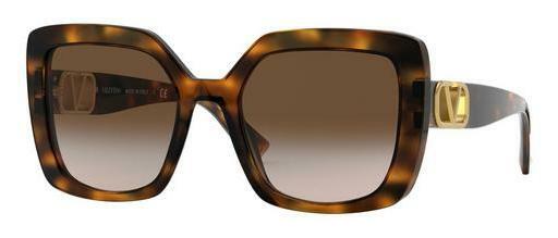 Sunglasses Valentino VA4065 515113