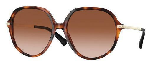 Sunglasses Valentino VA4099 501113