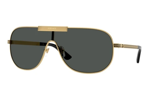 Sunglasses Versace VE2293 100287