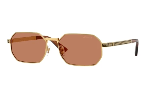 Sunglasses Versace VE2297 100273