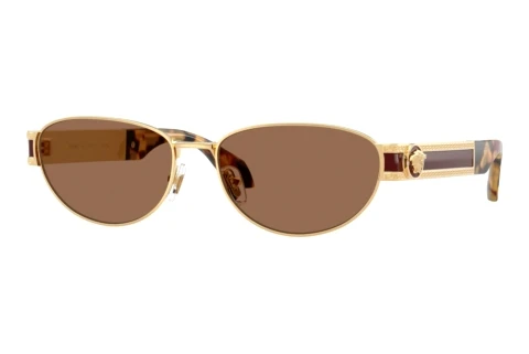 Sunglasses Versace VE2304 152373