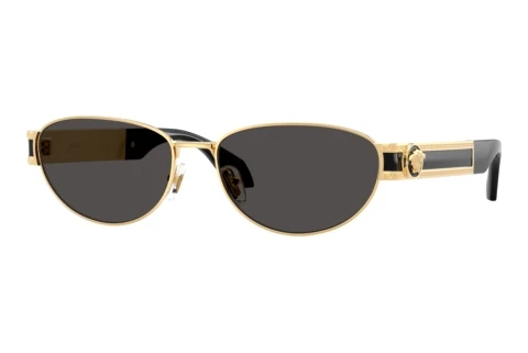 Sunglasses Versace VE2304 152387