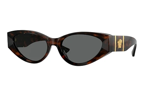 Sunglasses Versace VE4454 542987