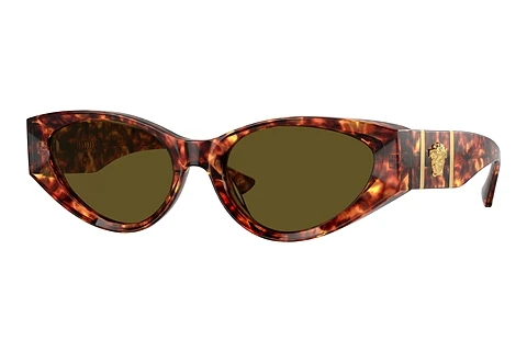 Sunglasses Versace VE4454 543773