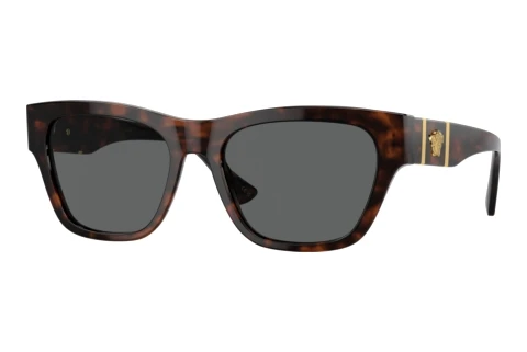 Sunglasses Versace VE4457 542987