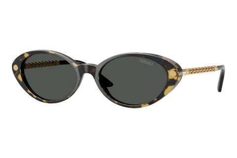 Sunglasses Versace VE4469 547087