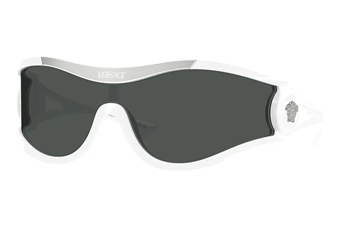 Sunglasses Versace VE4475 314/87