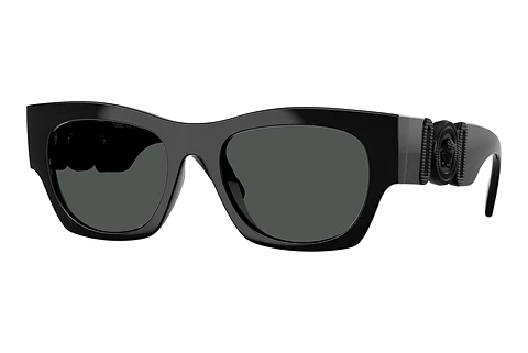 Sunglasses Versace VE4479U 536087