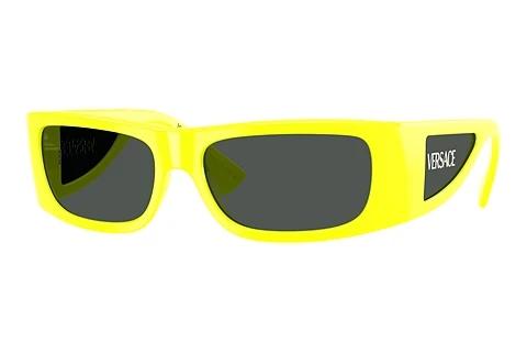 Sunglasses Versace VE4482 544987