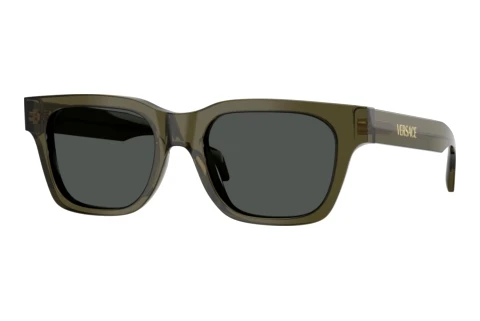 Sunglasses Versace VE4486 554287
