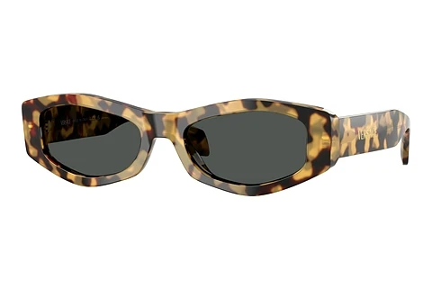 Sunglasses Versace VE4487 777/87