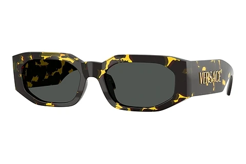 Sunglasses Versace VE4489U 552887