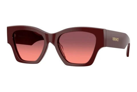Sunglasses Versace VE4492U 551520