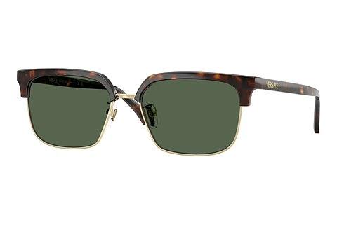 Sunglasses Versace VE4494D 108/71