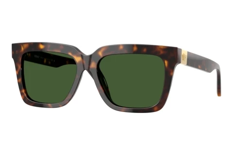 Sunglasses Versace VE4498 108/71