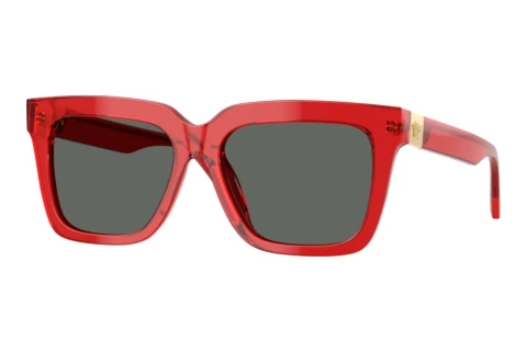 Sunglasses Versace VE4498 528087