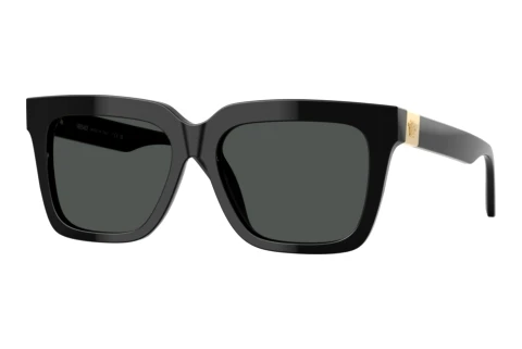 Sunglasses Versace VE4498 GB1/87