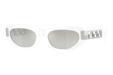 Sunglasses Versace VE4501 314/6V