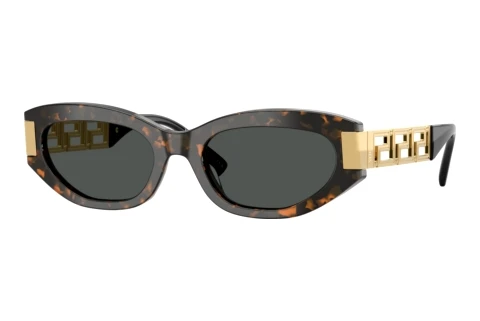 Sunglasses Versace VE4501 552887