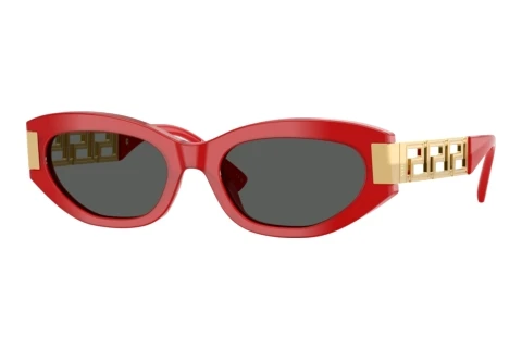 Sunglasses Versace VE4501 554287