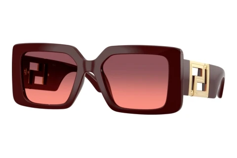 Sunglasses Versace VE4505U 538120
