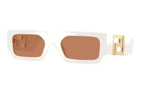 Sunglasses Versace VE4506U 554473