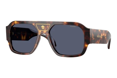 Sunglasses Versace VE4508U 55372V