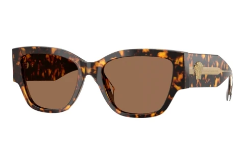 Sunglasses Versace VE4509U 551473