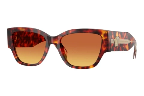 Sunglasses Versace VE4509U 5543T5