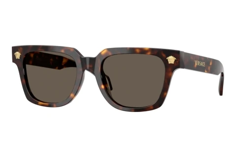 Sunglasses Versace VE4510U 108/3