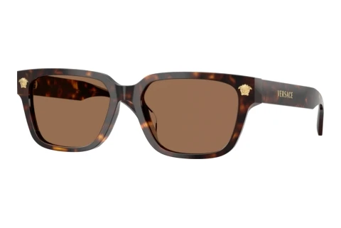Sunglasses Versace VE4513D 108/73