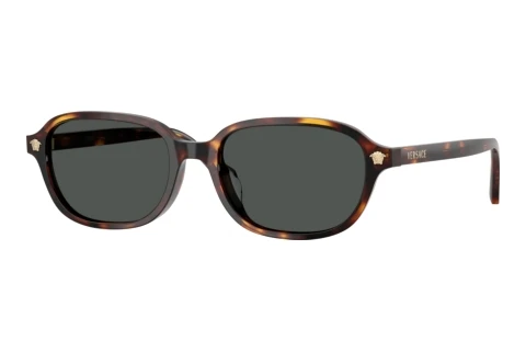 Sunglasses Versace VE4514D 553773