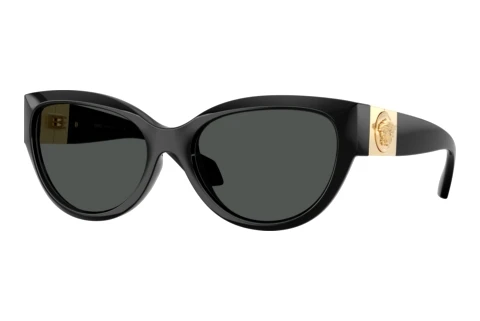 Sunglasses Versace VE4524U GB1/87