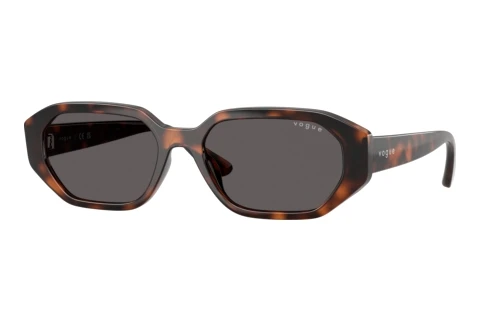 Sunglasses Vogue Eyewear VJ2034 271887