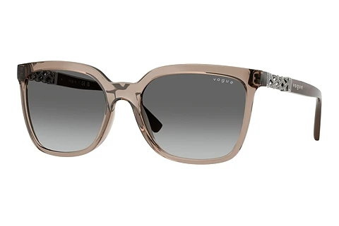 Sunglasses Vogue Eyewear VO5633SB 294011
