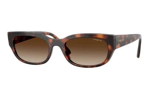 Sunglasses Vogue Eyewear VO5669S 271813