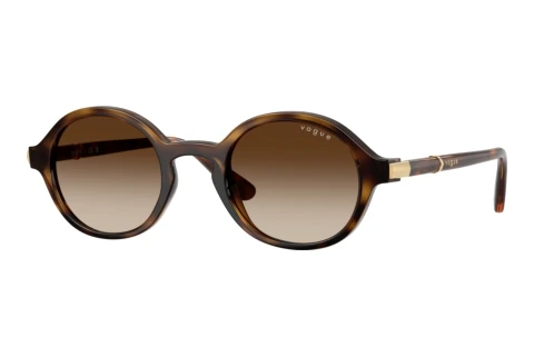 Sunglasses Vogue Eyewear VO5692S W65613