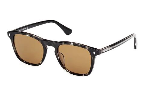 Sunglasses Web Eyewear WE0365 05E
