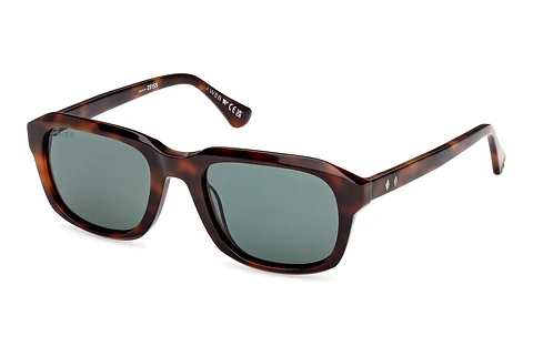 Sunglasses Web Eyewear WE0389 52N