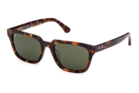 Sunglasses Web Eyewear WE0391 52N