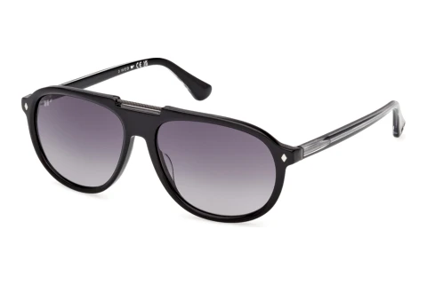Sunglasses Web Eyewear WE0394 05B