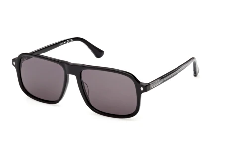 Sunglasses Web Eyewear WE0396 05A